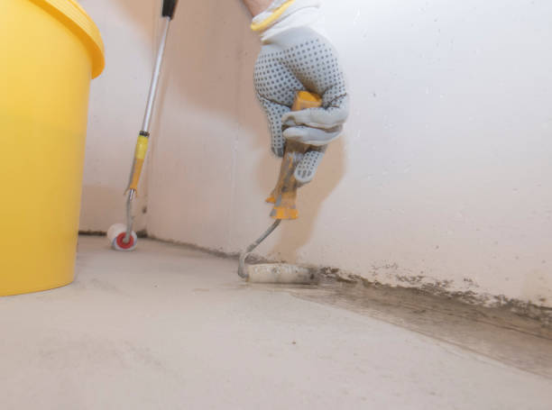 Best Fumigation Services  in Charleroi, PA